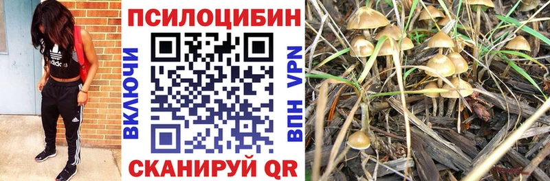 Псилоцибиновые грибы ЛСД  где продают наркотики  Жердевка 